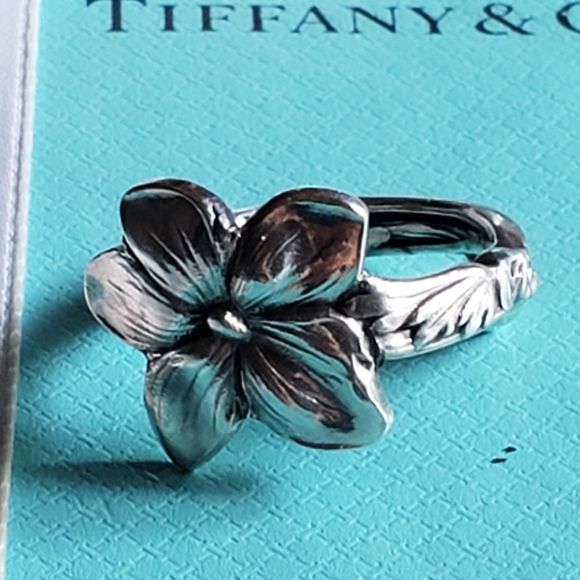 ⛔SOLDAntique 1885 Tiffany & Co Spoon - Ring Violet - Picture 3 of 16